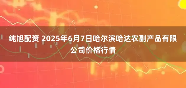纯旭配资 2025年6月7日哈尔滨哈达农副产品有限公司价格行情
